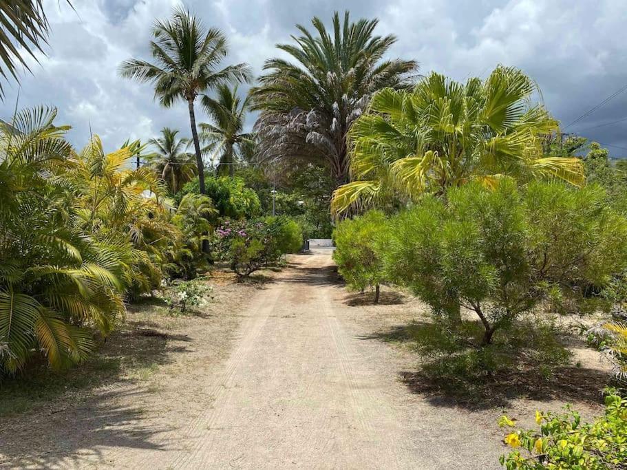 Villa Coco Des Sables Acces Direct Au Lagon ลาซาลีน เลอแบ็ง ภายนอก รูปภาพ